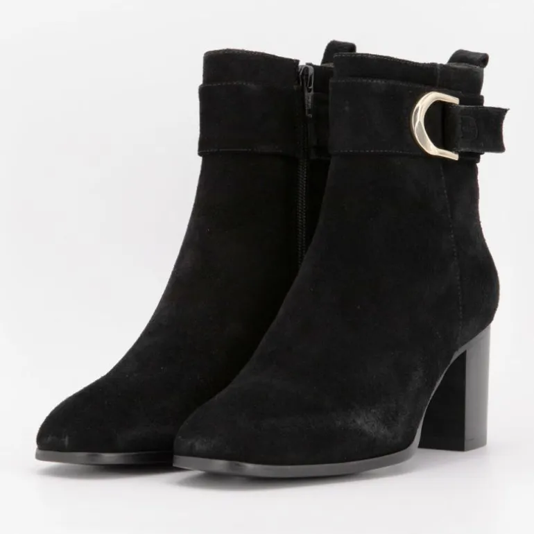 Bottines à talons carrés daim avec boucles Femme ELWIN