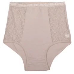 Culotte taille haute dentelle Femme LINGERIE AU FEMININ