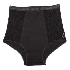 Culotte taille haute dentelle Femme LINGERIE AU FEMININ