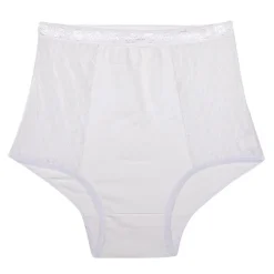 Culotte taille haute dentelle Femme LINGERIE AU FEMININ