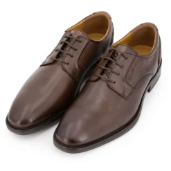 Derbies cuir lisse marron foncé à lacets fins Homme PIERRE CARDIN