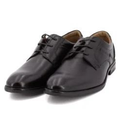 Derby wilex Homme PIERRE CARDIN