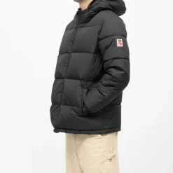 Doudoune à capuche courte zippée Homme COMPAGNIE DE CALIFORNIE