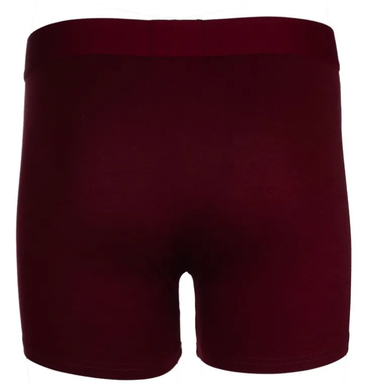 Pack de 2 boxers élastique Barry Homme KAPORAL