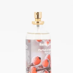 Parfum d'ambiance baies givrees 100 ml bgipa10 Mixte LOTHANTIQUE