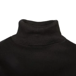 Pull col roulé 22274 Femme BILL TORNADE