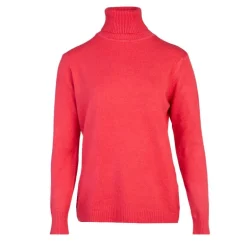 Pull col roulé laine et cachemire Femme BELLE FEMME