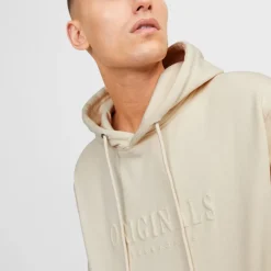 Sweat à capuche frederiksberg doux coton Homme JACK & JONES