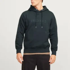 Sweat à capuche frederiksberg doux coton Homme JACK & JONES