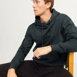 Sweat à capuche frederiksberg doux coton Homme JACK & JONES