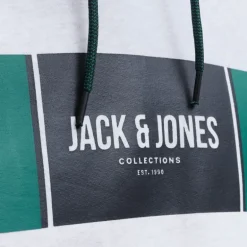 Sweat à capuche regular hayato imprimé encart logo Homme JACK & JONES