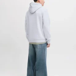 Sweat à capuche regular hayato imprimé encart logo Homme JACK & JONES