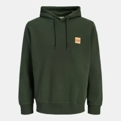 Sweat à capuche sky captain brandy regular fit Homme JACK & JONES