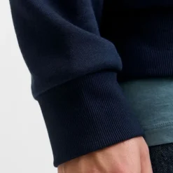 Sweat à capuche sky captain brandy regular fit Homme JACK & JONES