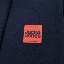 Sweat à capuche sky captain brandy regular fit Homme JACK & JONES
