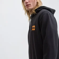 Sweat à capuche sky captain brandy regular fit Homme JACK & JONES