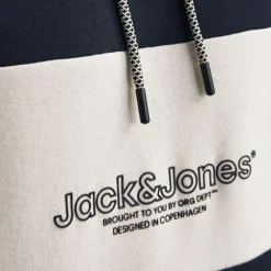Sweat à capuche sky captain Lakewood Homme JACK & JONES