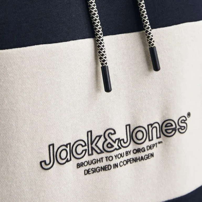 Sweat à capuche sky captain Lakewood Homme JACK & JONES
