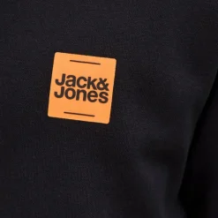 Sweat brandy coton col ras de cou manches longues Homme JACK & JONES