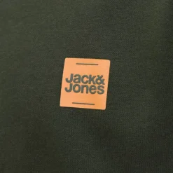 Sweat brandy coton col ras de cou manches longues Homme JACK & JONES