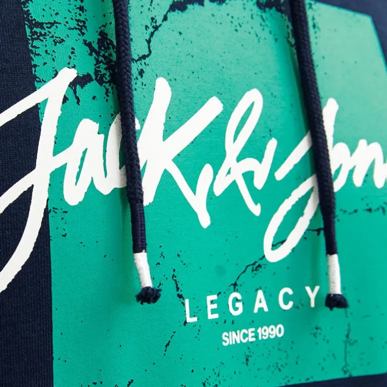 Sweat coton tiley à capuche avec logo manuscrit et encart coloré Homme JACK & JONES