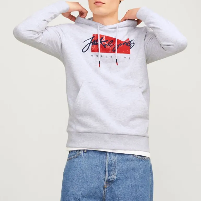 Sweat gris chiné imprimé avec capuche tiley coton mélangé regular Homme JACK & JONES