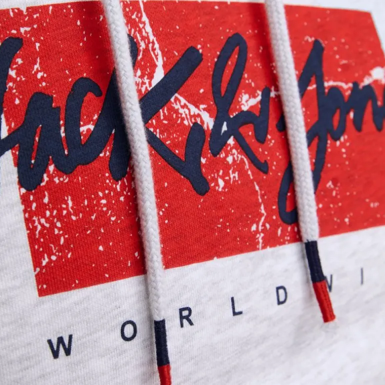 Sweat gris chiné imprimé avec capuche tiley coton mélangé regular Homme JACK & JONES