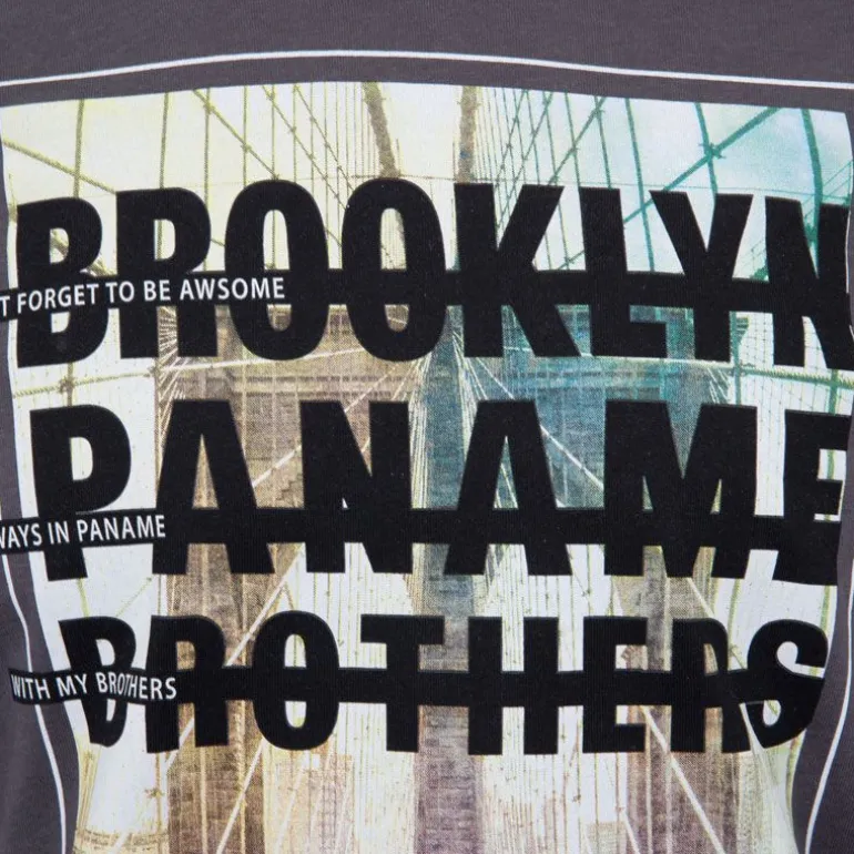 Tee shirt coton imprimé pont de Brooklyn Homme PANAME BROTHERS