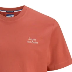 Tee shirt ornocello ginger spice coton col ras de cou Homme JACK & JONES