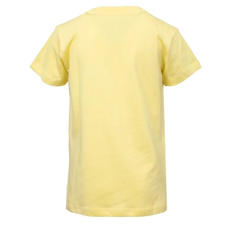 Tee shirt Premium Brand 8/16ans Enfant REDSKINS