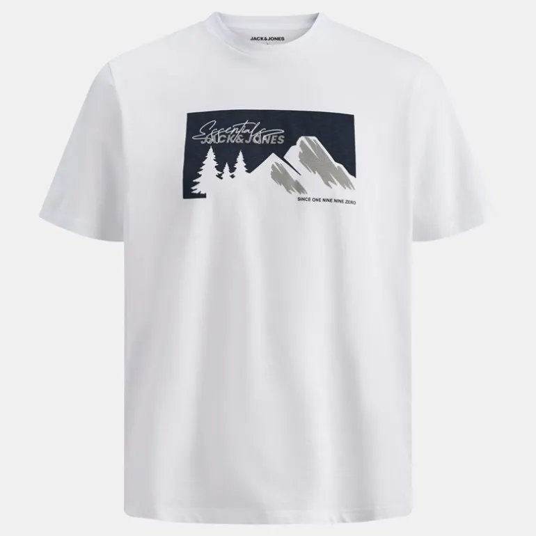 Tee shirt sun coton imprimé montagne Homme JACK & JONES